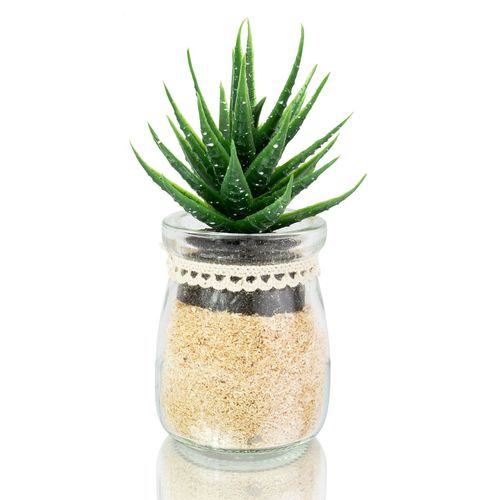 Vaso C/ Planta Artificial em Cilindro Transparente Modelos Sortidos 5x7cm Livon