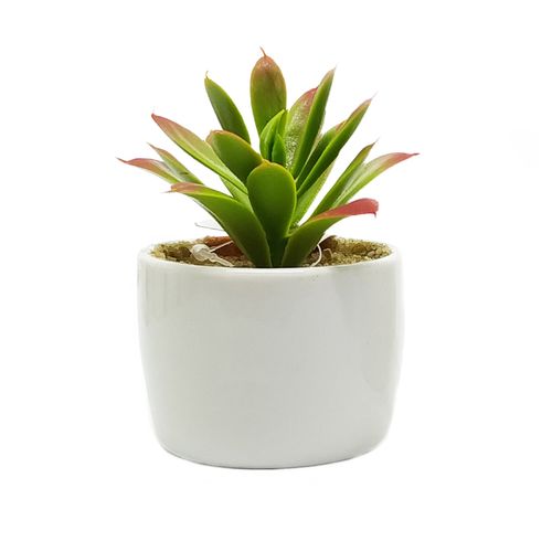 Vaso Decorativo C/ Planta Artificial 10x5cm em Cerâmica Livon