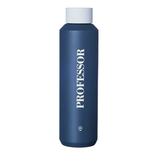 Garrafa Profissão Professor 600ml em Aço Inox Zona Criativa