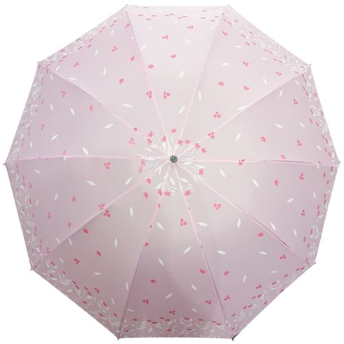 Guarda Chuva Manual 10 Varetas em Poliéster Facinato