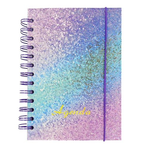 Agenda Permanente Glitter 19x13,5cm em Papel Interponte
