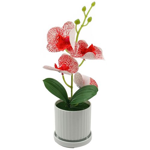 Orquídea Decorativa Artificial 29x7cm em Plástico Sutt