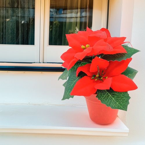 Vaso Natalino Decorativo 14cm em Plástico Multiart