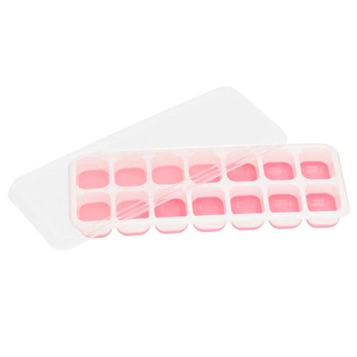 Forma de Gelo C/ Tampa 24,5cm em Plástico Interponte