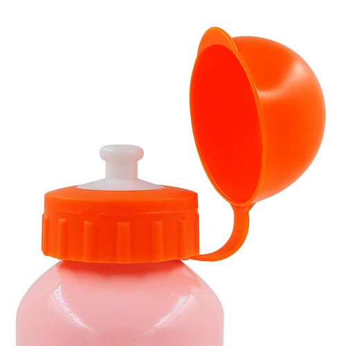 Garrafa Infantil Estampada 500ml em Alumínio Livon