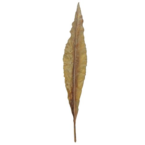 Haste Folha Envelhecida Artificial 98cm em Plástico Bella Garden