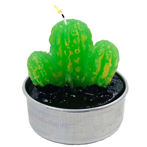 Jogo de Velas Suculenta 6 Peças em Parafina Gifthome
