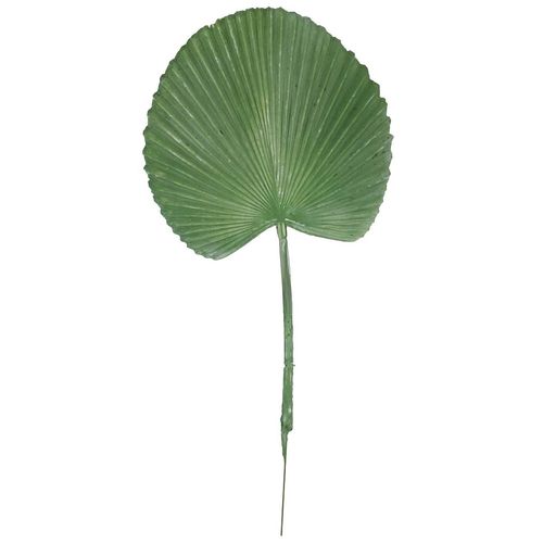 Haste Palmeira Artificial 42cm em Plástico Bella Garden