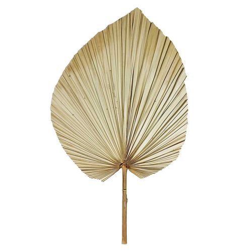 Folha Leque Artificial 60cm em Plástico Bella Garden