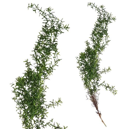 Pendente Verde Artificial 110cm em Plástico Bella Garden
