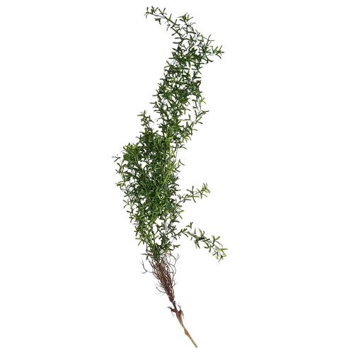 Pendente Verde Artificial 110cm em Plástico Bella Garden