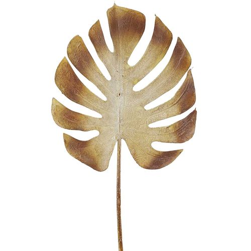 Haste Costela de Adão Artificial 73cm em Plástico Bella Garden
