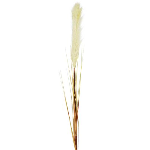 Haste Capim Pampas Artificial 106cm em Plástico Bella Garden