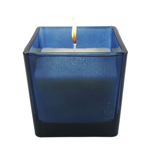Vela Aromática Frutas Silvestres 8cm em Vidro Paramount
