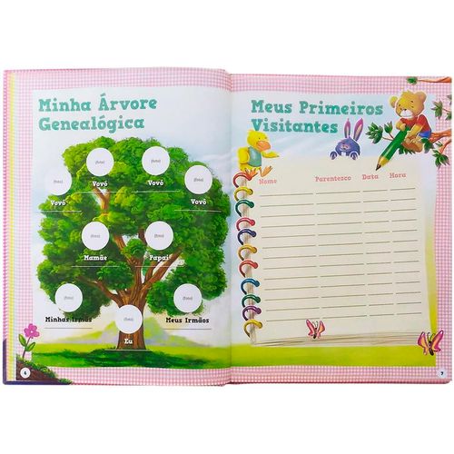 Livro do Bebê Meus Primeiros 5 Anos 28cm em Papel Todo Livro