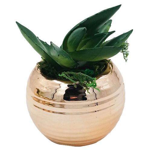 Vaso C/ Planta Artificial 6x8cm em Porcelana Brascontinental
