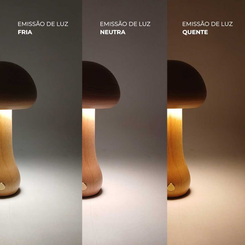 78995941616303_terciaria
