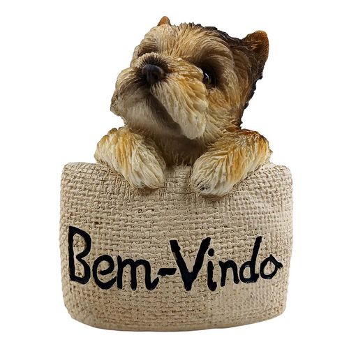 Bichinho C/ Placa Decorativo 11x7,5cm em Resina Youbai