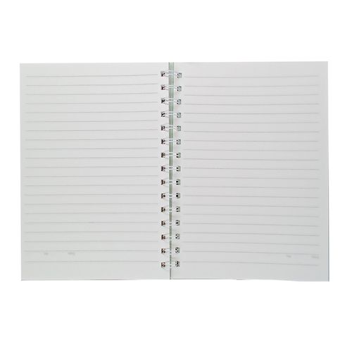 Caderno Minhas Anotações 20x15cm 80 Folhas Michael Judi