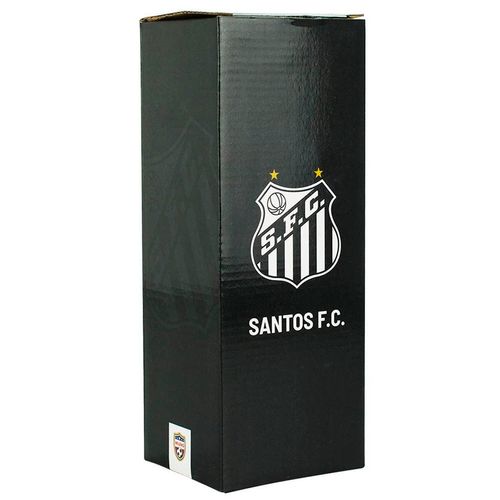 Garrafa Térmica Santos 650ml em Aço Inox Mileno