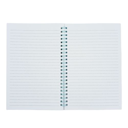 Caderno Folhas 21x14,5cm 58 Folhas em Papel Dcarte