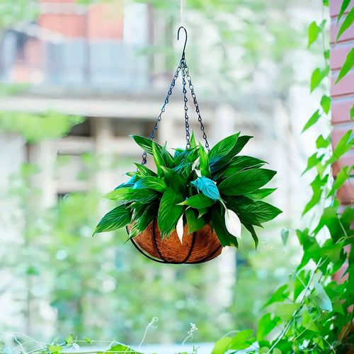 Cesto Suspenso 13x15cm em Fibra Natural Fu Xing