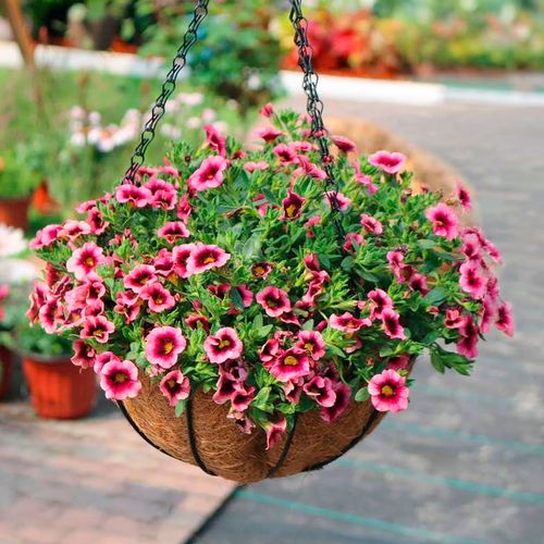 Cesto Suspenso 10x20cm em Fibra Natural Fu Xing